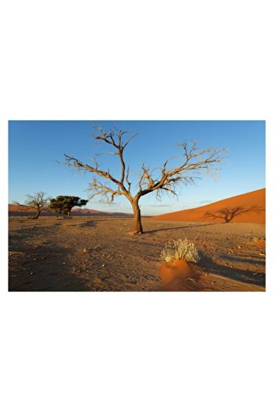 OEM Pictură pe pânză, „Copaci singuratici în deșertul roșu”