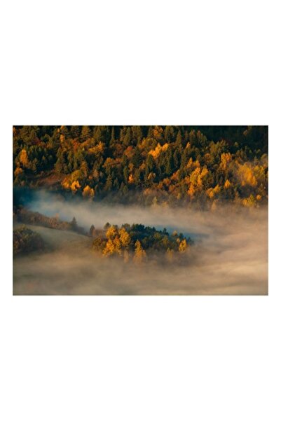 OEM Pictură pe pânză, „Pădure adormită în ceață aurie”