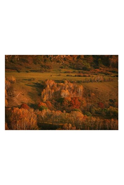 OEM Pictură pe pânză, „Pădure învăluită în culori de toamnă”, 39 x 26cm