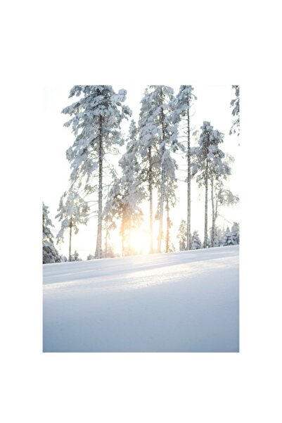 OEM Pictură pe pânză, „Serenitate de iarnă”, multicoloră, 50 x 90 cm