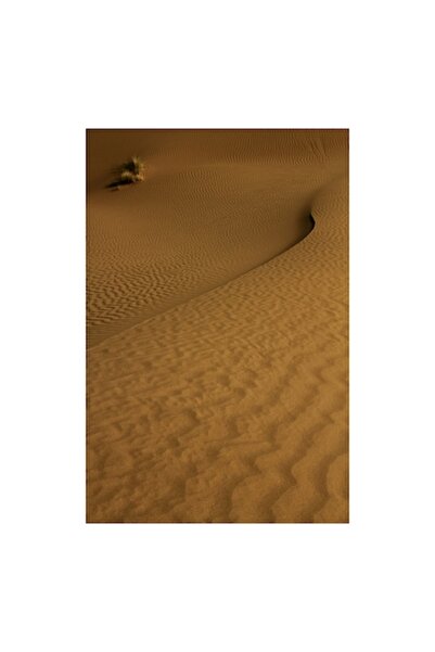 OEM Canvas Painting 'Dunele Desertului' - Elegance of Nature in Your Home