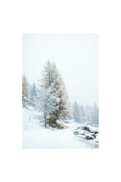 OEM Pictură pe pânză, „Iarnă în pădurea liniștită”, Zăpadă, Copaci, Cale, Iar...