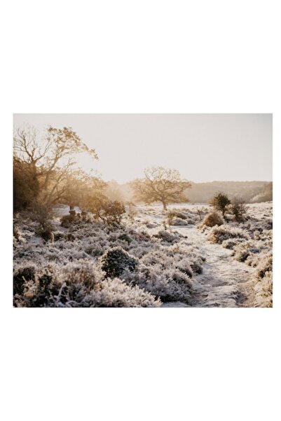 OEM Pictură pe pânză, „Răsărit de soare de iarnă peste câmp înghețat”, Peisaj...