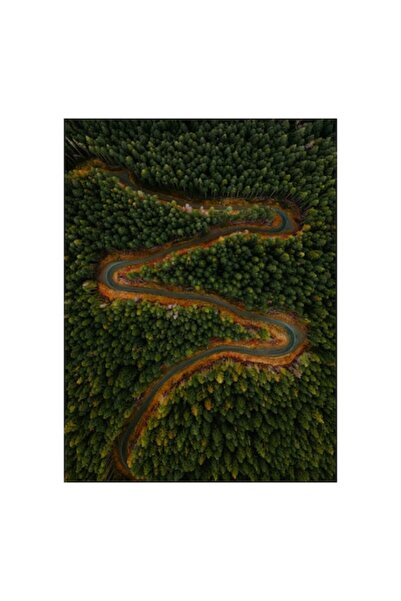 OEM Pictură pe pânză, „Drum șerpuitor printre copaci verzi”, 70 x 100 cm