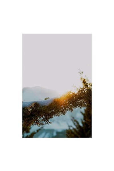 OEM Pictură pe pânză, „Rază de soare prin ramuri înzăpezite”, Peisaj natural,...