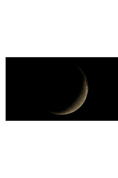 OEM Tablou pe pânză „Lumina mistică a lunii noi”