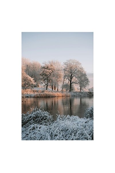 OEM Pictură pe pânză „O iarnă liniștită pe malul lacului”, Copaci, Zăpadă, Ap...