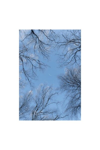 OEM Tablou Canvas, Cercei de gheata sub luna palida