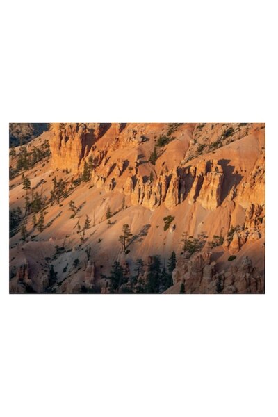 OEM Tablou Canvas, 'Padurea tacuta a stancilor rosii', Mister, Majestuos, Pit...