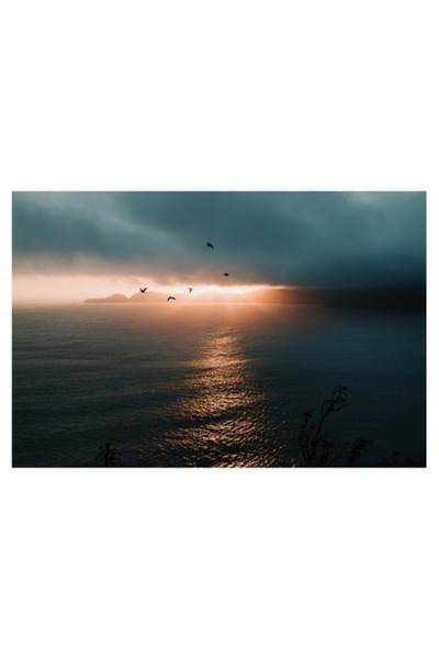 OEM Tablou Canvas, 'Pasari in lumina apusului marin'
