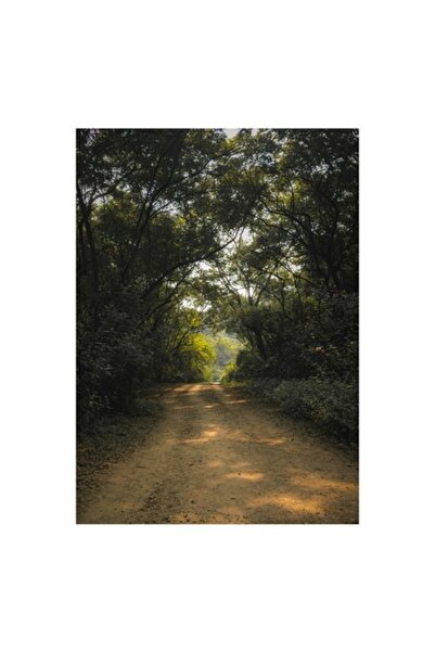 OEM Tablou Canvas, "Drumul tainic prin padurea umbrelor", 50 x 90cm