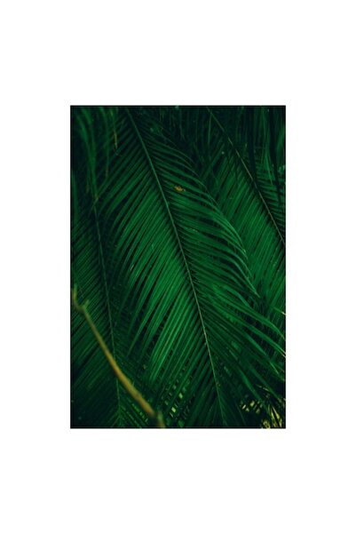 OEM Pictură pe pânză, „Frunze verzi ale naturii tropicale”, 100x100cm