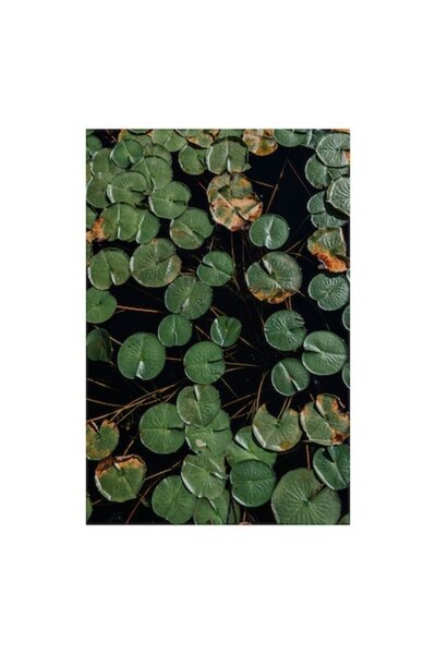 OEM Tablou Canvas, Frunzele linistitoare ale lacului verde