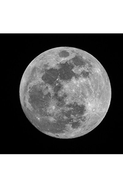 OEM Pictură pe pânză, „Lună plină strălucind în noapte”, Mister, Strălucire, ...