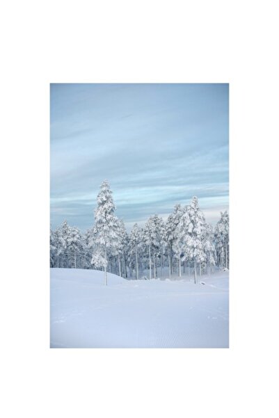 OEM Tablou Canvas, "Padure inghetata sub cer senin", Zapada, Pini, Albastru, ...