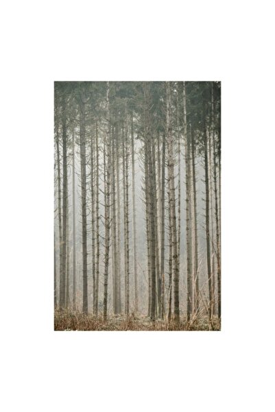 OEM Pictură pe pânză „Pădure învăluită într-o ceață misterioasă”, 50 x 70cm