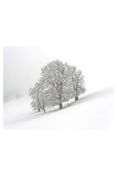 OEM Pictură pe pânză, „Tăcere de iarnă în pădurea albăstruie”, Copaci, Zăpadă...