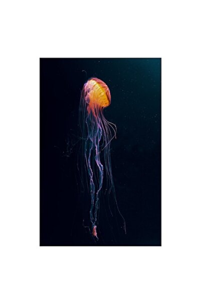 OEM Pânză Tablou, „Meduze dansând în adâncuri mistice”, 70 x 100 cm