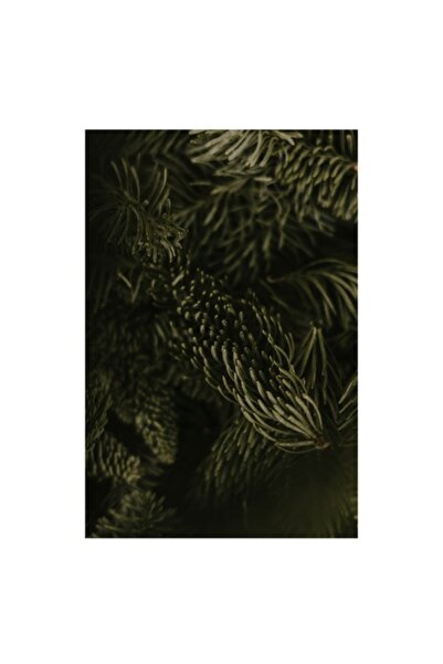 OEM Pictură pe pânză, „Un vârtej de verde vibrant în vedere”, texturi detalia...