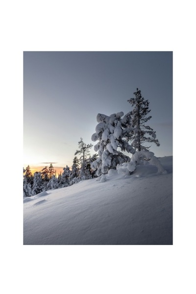 OEM Tablou Canvas, "Peisaj de iarna in amurg polar", Zapada, Tacere, Apus, Copaci, Iarna, Lumina, Cer, P