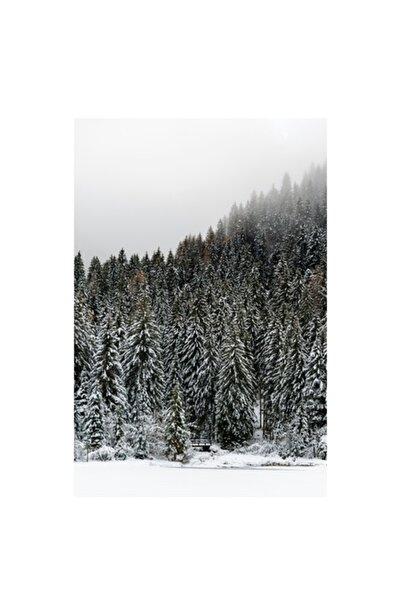 OEM Pictură pe pânză „Tăcerea pădurii de iarnă”, Munte, Copaci, Zăpadă, Ceață, Pace, Natură, Iarnă