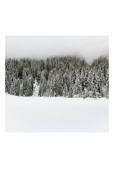 OEM Tablou Canvas, 'Iarna in padurea inzapezita misterioasa', Copaci, Zapada,...