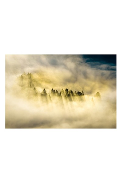 OEM Tablou Canvas, 'Lumina printre ceturile diminetii', 54 x 39cm