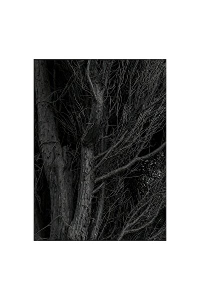 OEM Pictură pe pânză „Tăcerea întunecată a copacilor veșnici”, texturată și m...