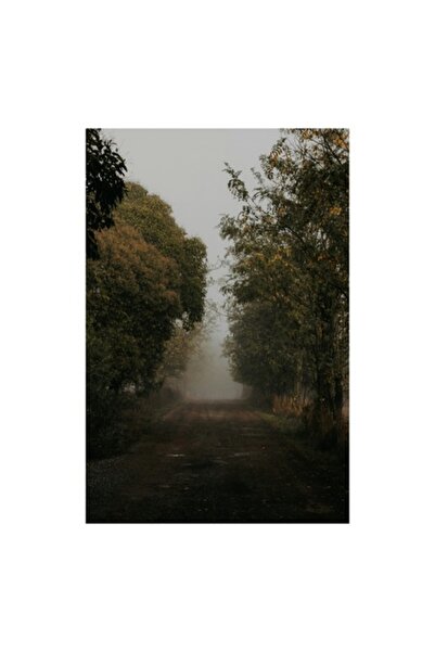 OEM Pictură pe pânză, „Calea îngustă spre ceața necunoscută”, 70 x 100cm