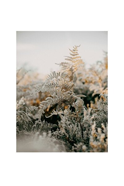 OEM Pictură pe pânză, „Frunză înghețată în zorii iernii”, Seninătate, Vitalit...