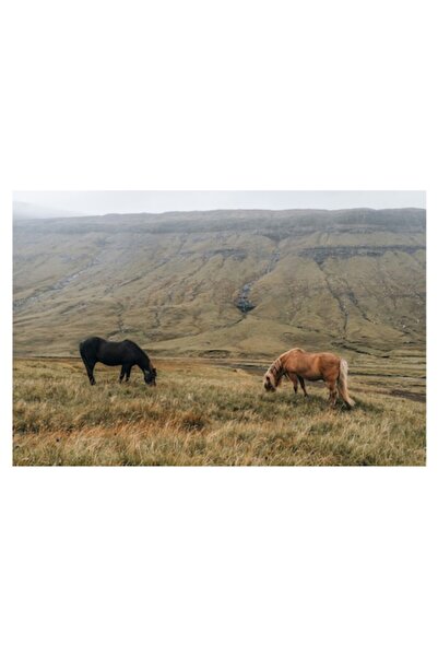 OEM Pictură pe pânză - Cai păscând în pajiștea de munte