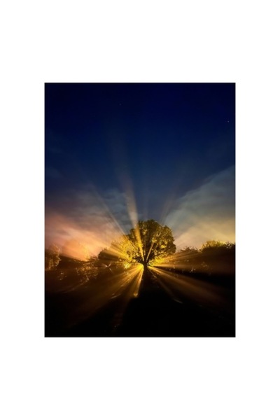 OEM Tablou Canvas, Copacul luminii in noapte misterioasa