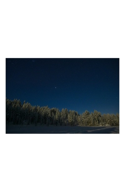 OEM Tablou Canvas, Padure inghetata sub cer instelat, 100 x 100cm