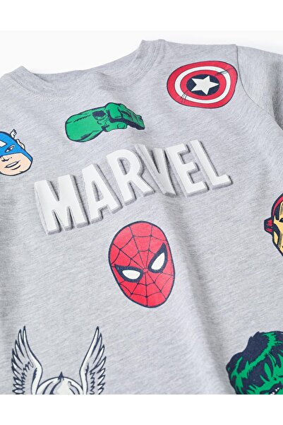 Ziddy Cotton T-shirt with Avengers Motif for Boys, Grey