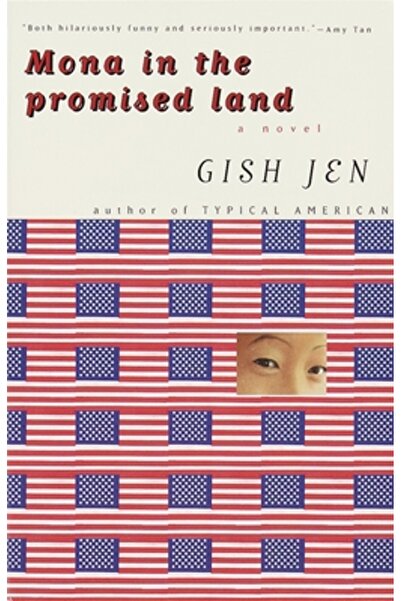 Vintage Books USA Mona in the Promised Land