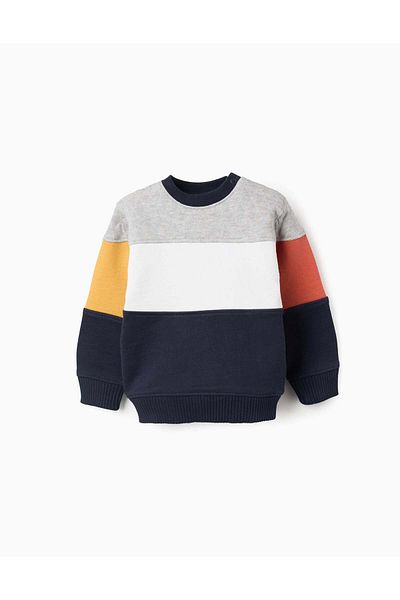Ziddy Cotton Sweatshirt with Colour Block for Baby Boys, Multicolour