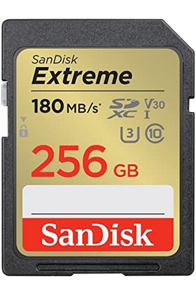 SanDisk 256 GB Extreme SDXC card + RescuePro Deluxe