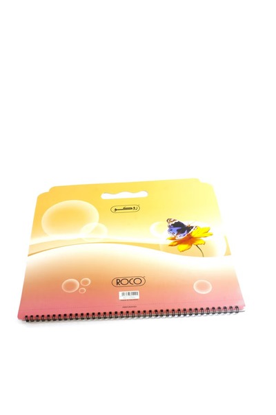 Roco Sketch Pad with Handle 110gsm White Paper - 16 Perforated Sheets