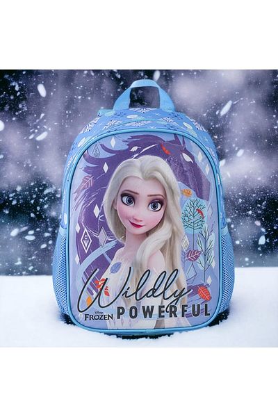 Frozen Τσάντα νηπιαγωγείου, δοχείο διατροφής και μπουκάλι νερού