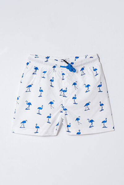 Verscon Boy's Sea & Pool Shorts Swimsuit 3 - 11 Years