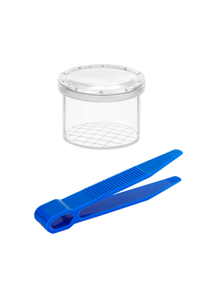 piapolya Çocuklar Için Büyüteçli Mini Gözlem Kutusu | Katı Aktarma Etkinlik Cımbızı | Karışık Renkli