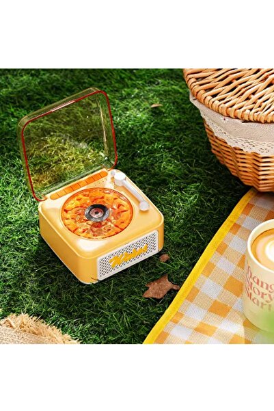 Vothoon Nostalji Mini Plak Görünümlü Radyolu Bluetooth Hoparlör 3D Ses Dalgası Retro Müzik Plak