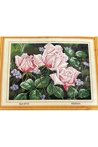 iğne izi Goblen Etamin Işleme Seti 40x50 Cm 419