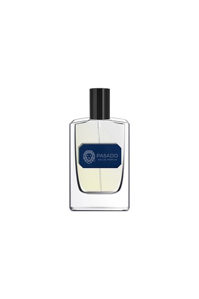 SCAR Pasado Eau de Parfum for Men – 110ml Long Lasting French Fragrance