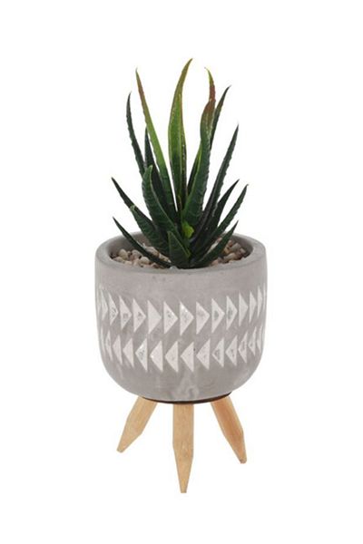 Koopman Artificial Mini Succulent Plant, Azay Design, H 16cm, in cement pot with wooden legs