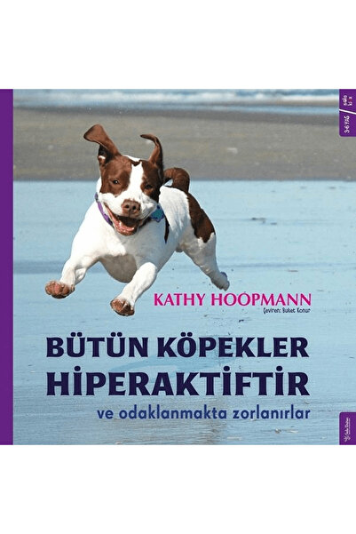 Sola Kidz Bütün Köpekler Hiperaktiftir ve Odaklanmakta Zorlanırlar
