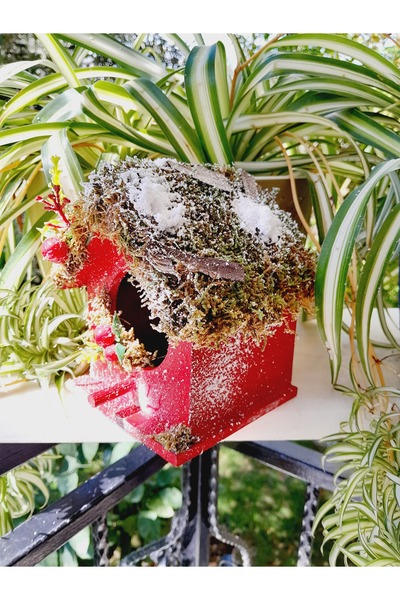 Minnoş Dükkan Bird House Wooden Bird Nest Garden Balcony Decoration