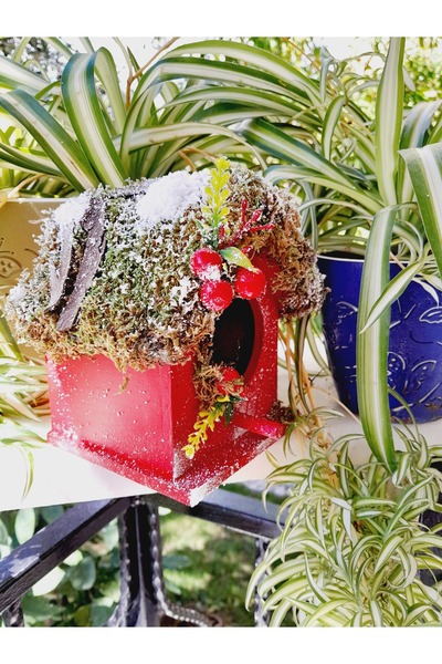 Minnoş Dükkan Bird House Wooden Bird Nest Garden Balcony Decoration