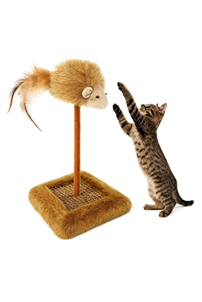 Pati Cool Plush Cat Scratching and Play Stand with Sound Tail |   26cm Height |   Fun Scratching Toy