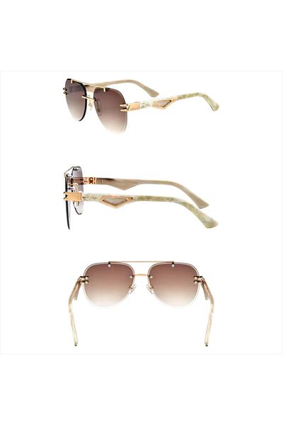 HAANY Sunglasses (Buffalo Horn Handle) Sunglasses